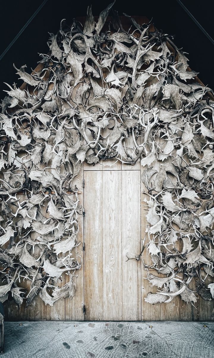 Noma Redzepi Kommentar