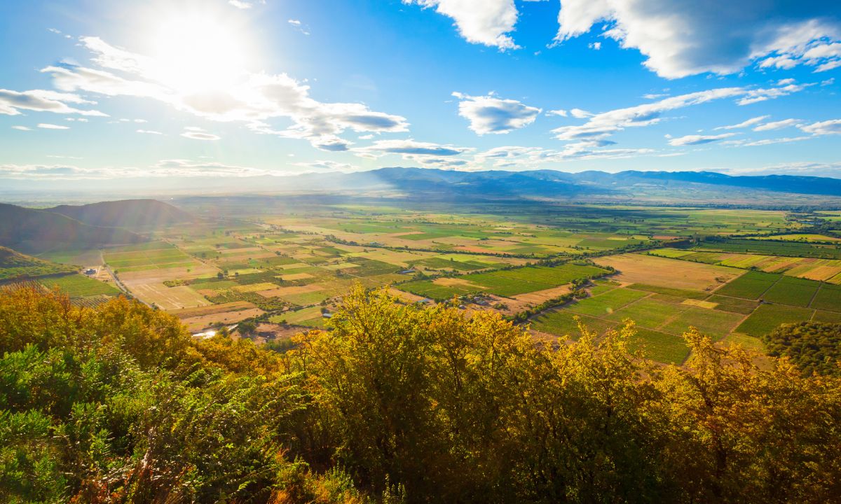 bio-oder-regional-checkliste