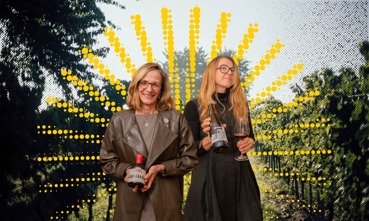 Pop-Up Marlis x Wiederstein