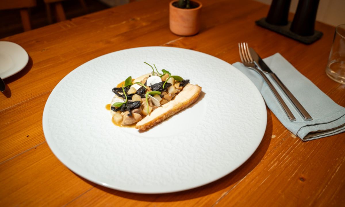 Getrüffeltes Hühnerfrikassee