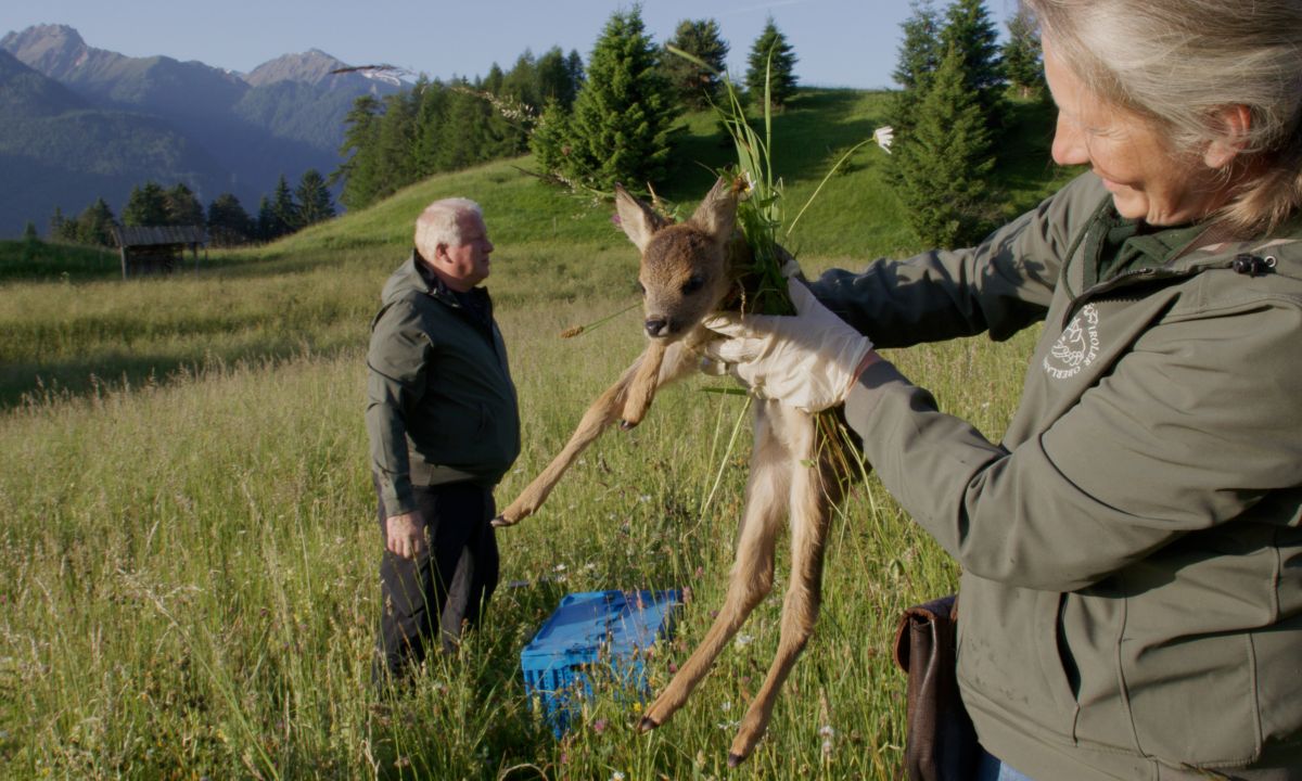 Kitzrettung Tiroler Oberland