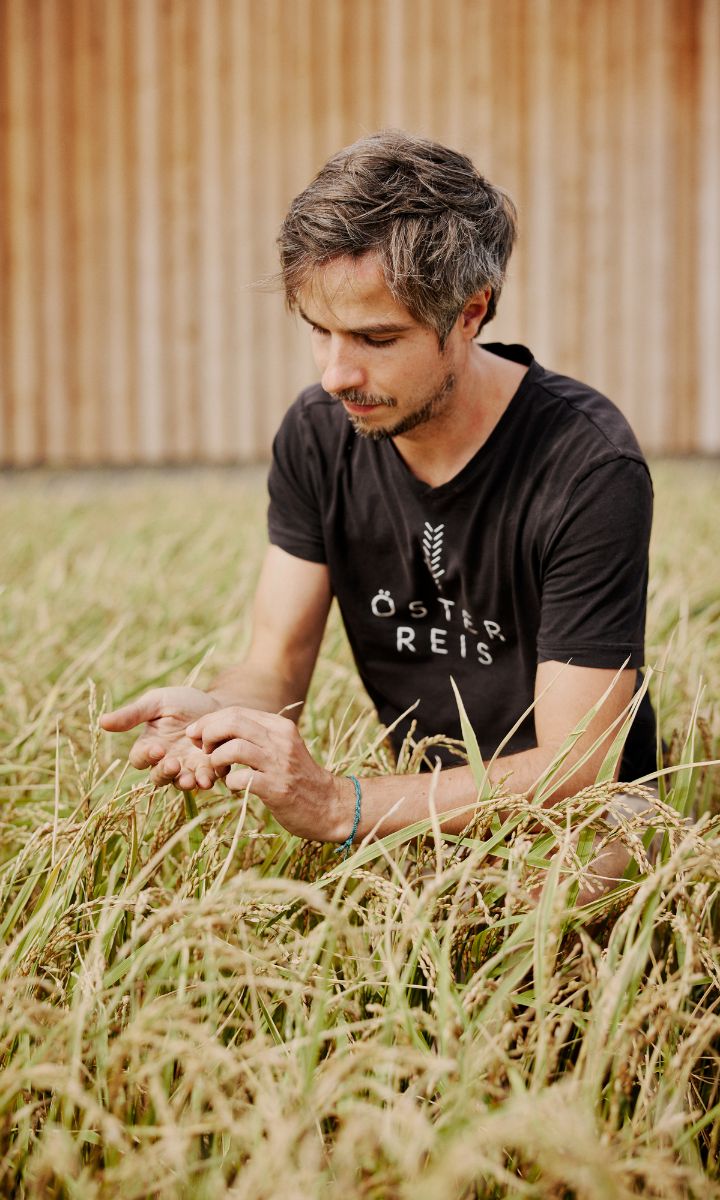 Gregor Neumeyer, Österreis