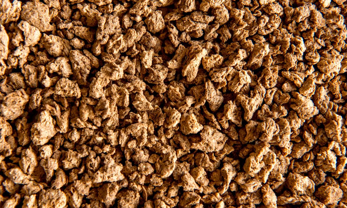 Sojaprotein