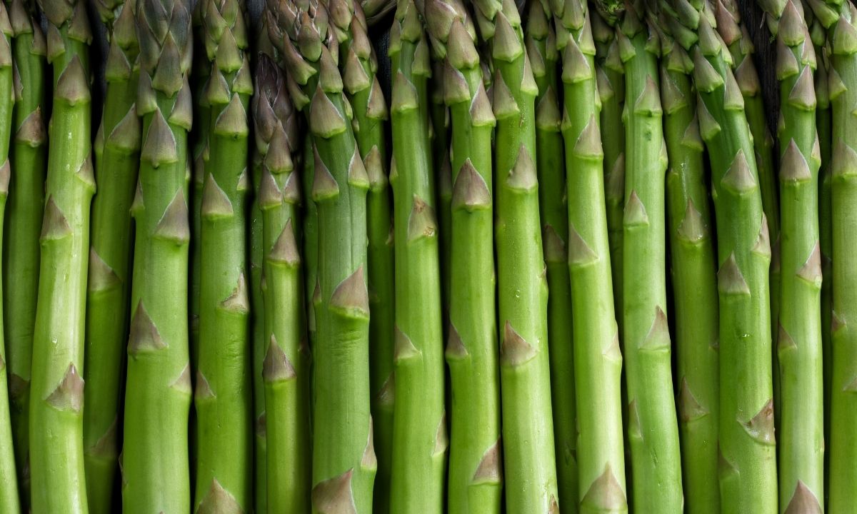 Spargel