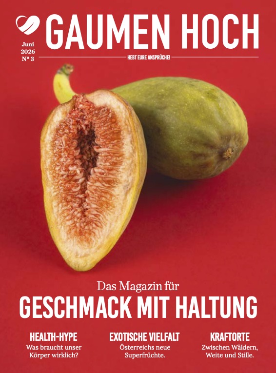 Cover Magazin 3