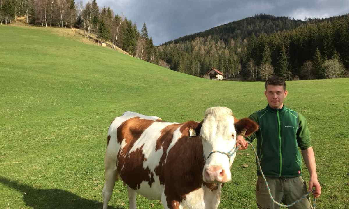 Verein Reine Lungau