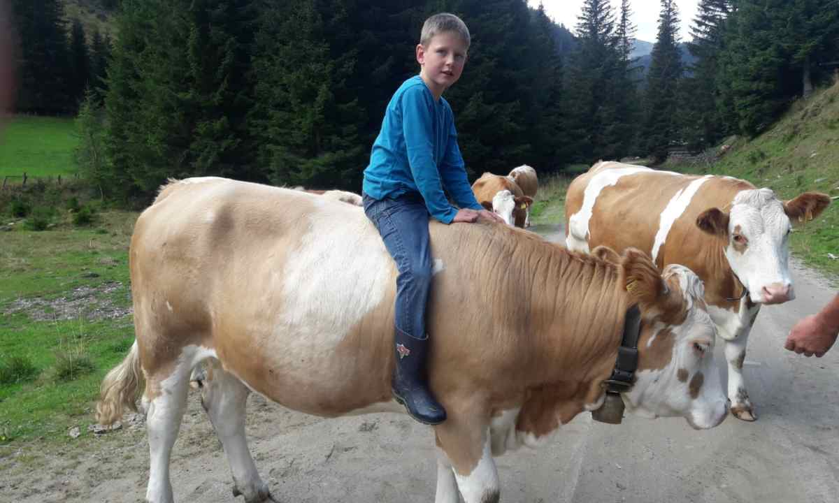 Verein Reine Lungau