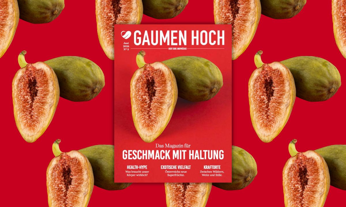 Gaumen Hoch-Magazin 3
