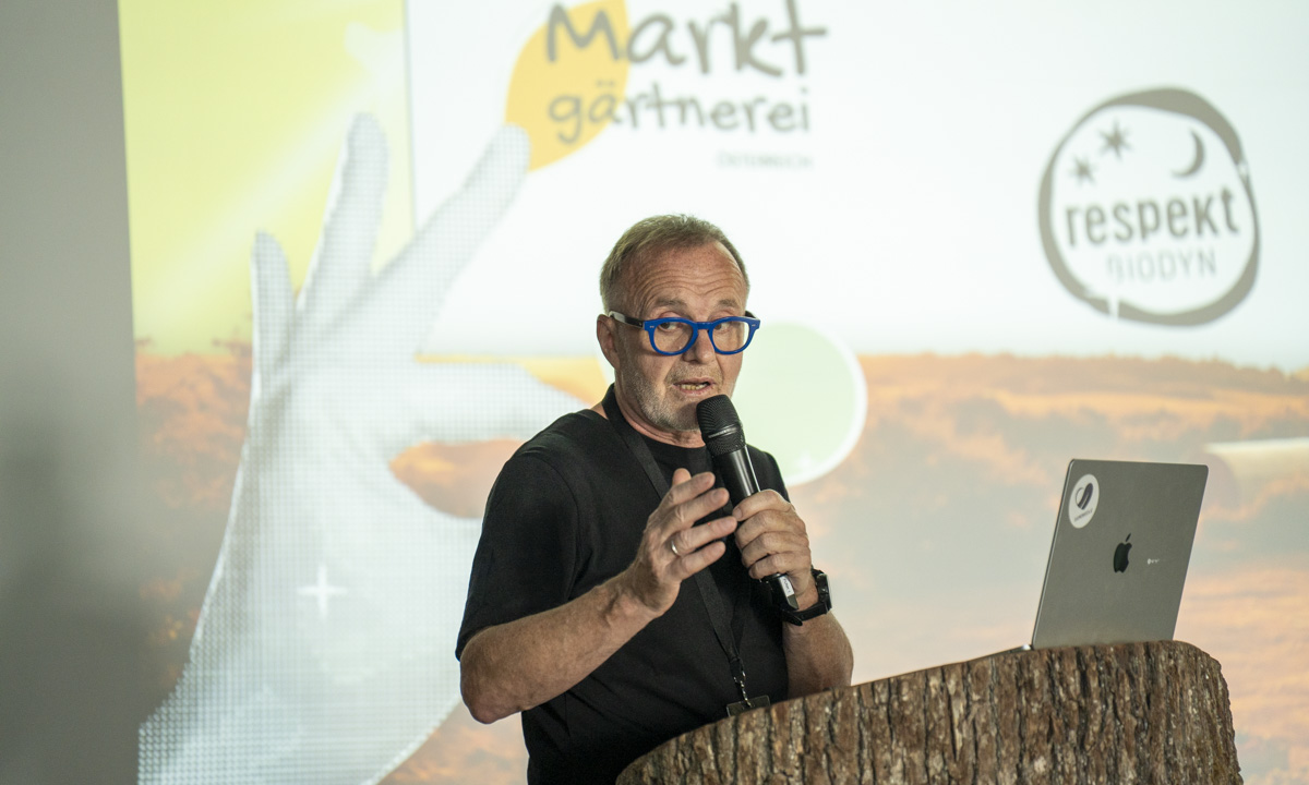 Gaumen Hoch-Connection 2
