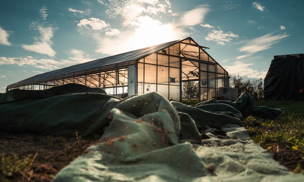 Alfred Grand, Grand Farm