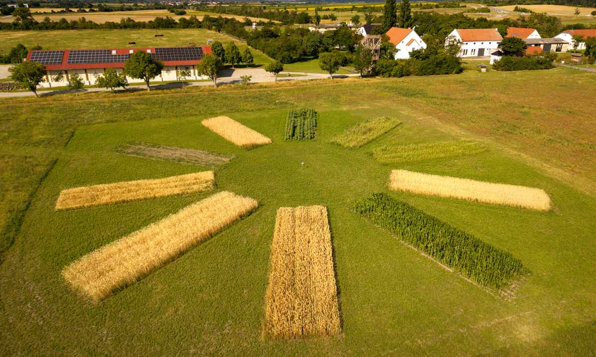 Bio-Landgut Esterhazy