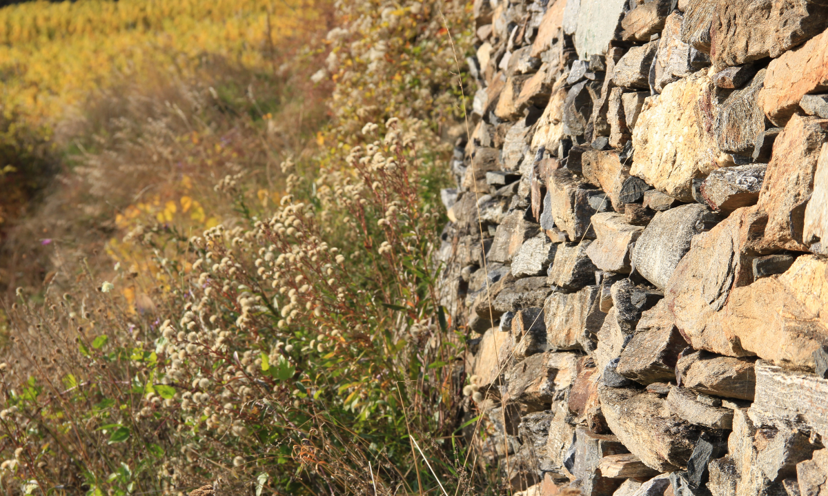 Trockensteinmauer am Nikolaihof Wachau
