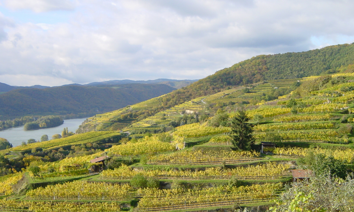 Nikolaihof Wachau