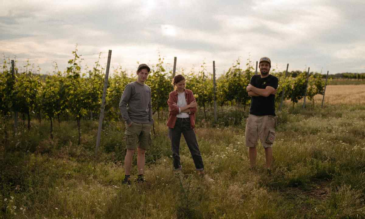 Weingut Schödl
