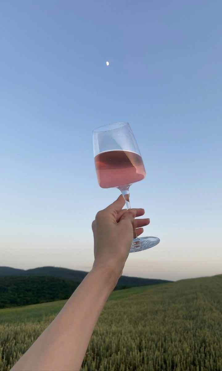 Wie der Rosé sein Image neu schreibt