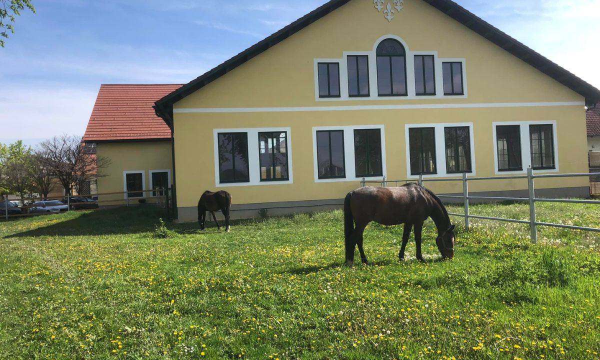 Bio-Landwirtschaft Lilienhof