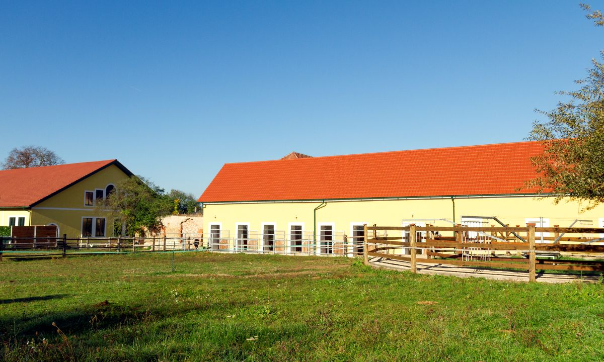 Bio-Landwirtschaft Lilienhof