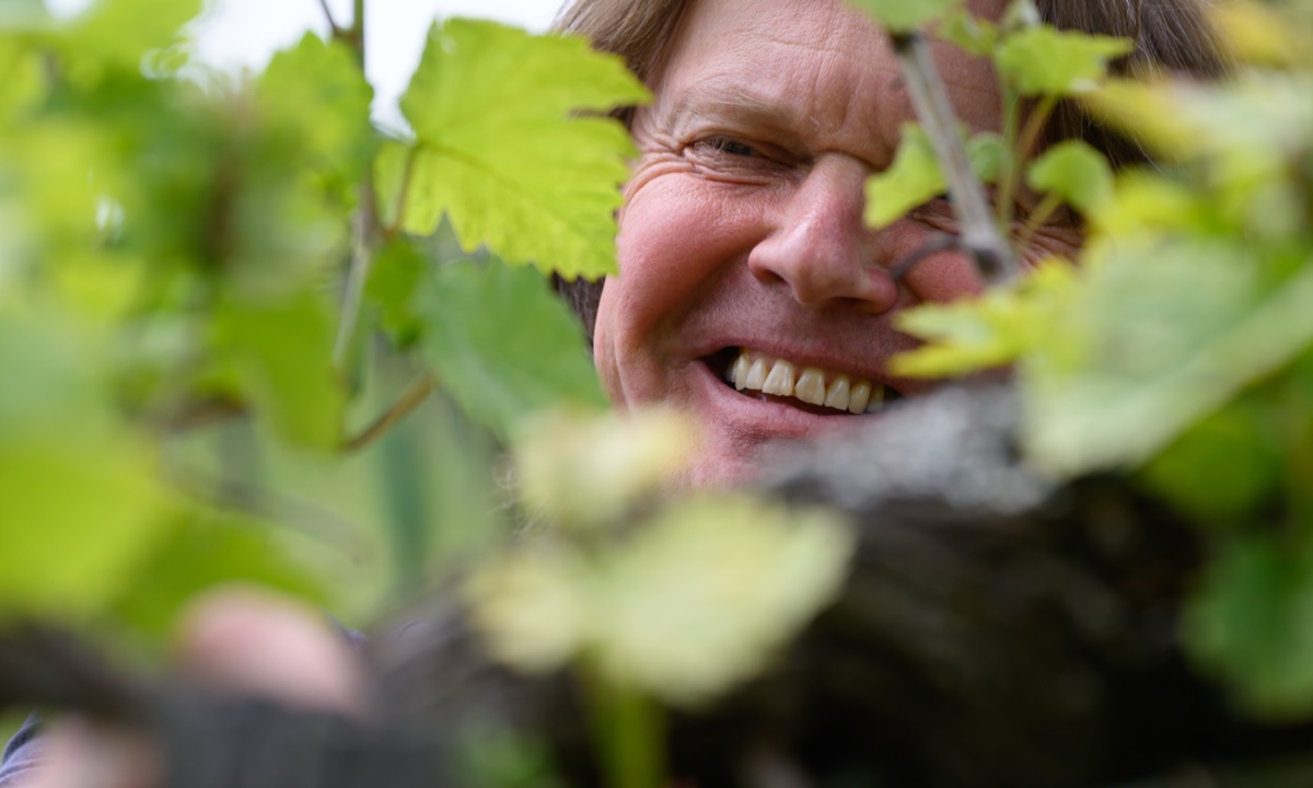 Weingut Tauss