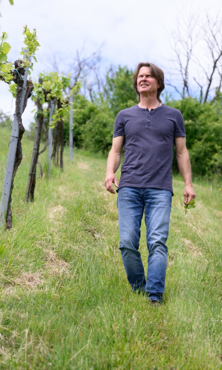 Weingut Tauss