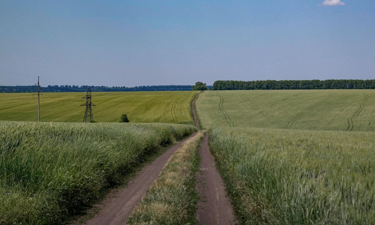 Ernährungssicherheit