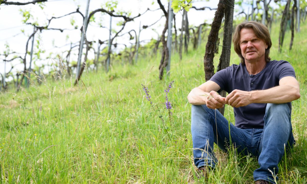 Weingut Tauss