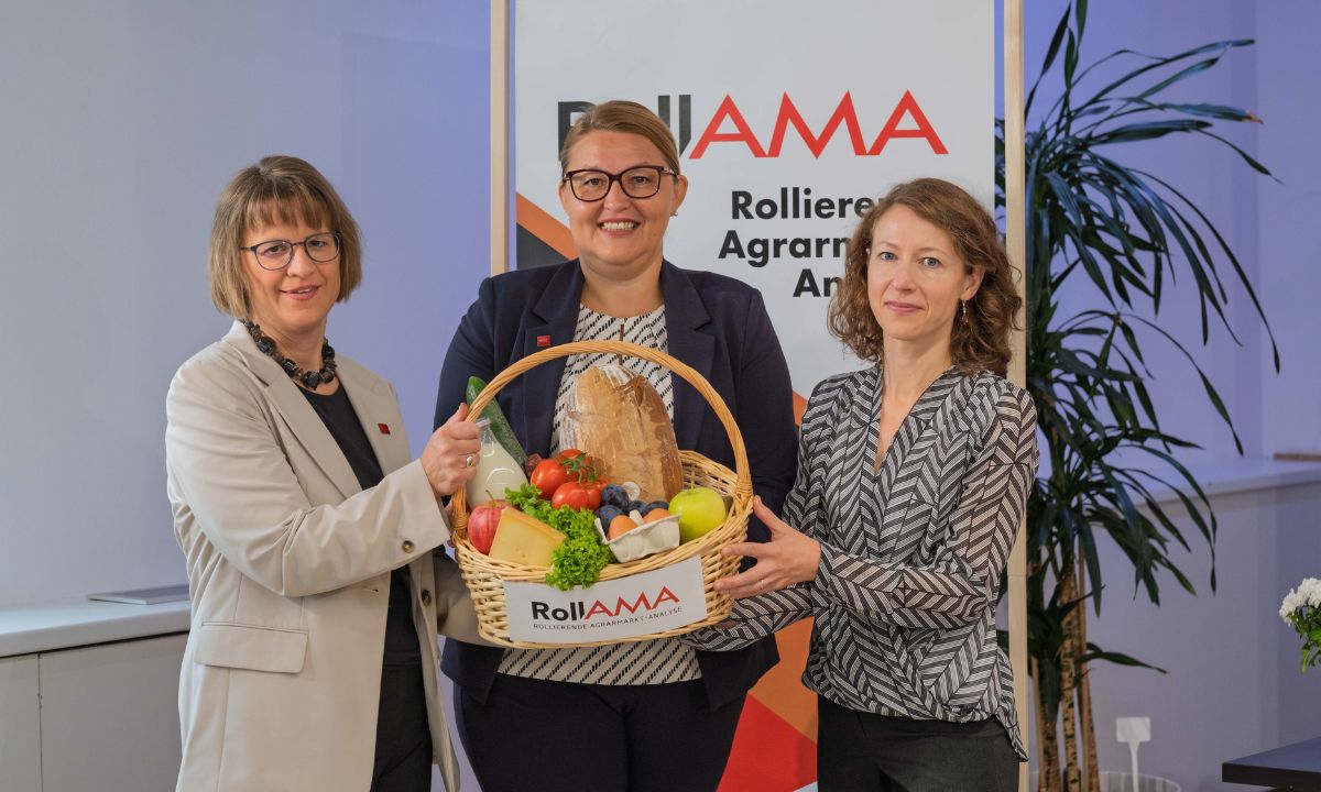 RollAMA Präsentation 1. HJ 2026