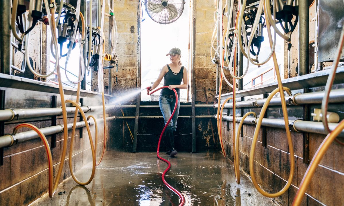 Bäuerin bei der Arbeit