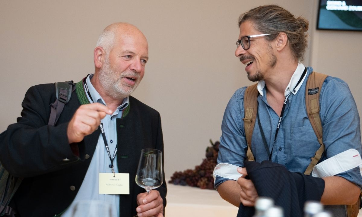 Gaumen Hoch-Symposium 2026