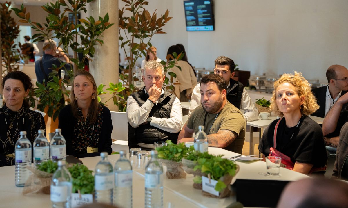 Gaumen Hoch-Symposium: Breakout-Sessions