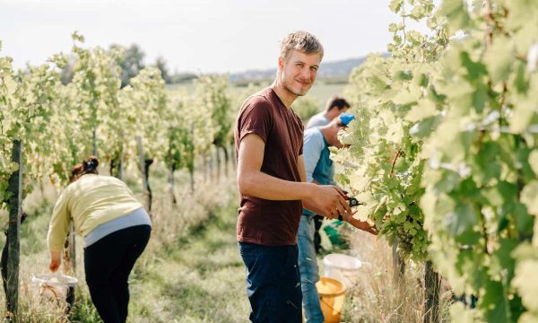 Bio-Weingut Frühwirth