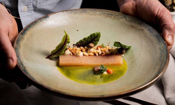 Rezept aus dem Gaumen Hoch-Printmagazin 01/25 von Gasthaus Reiner Marinierter Saibling mit Seitlingen