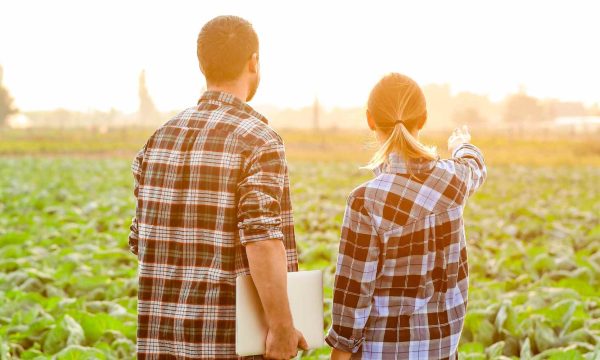 Solidarische Landwirtschaft