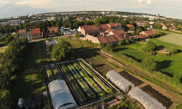 Marktgärtnerei & Gemüsekistl Andreas Gugumuck