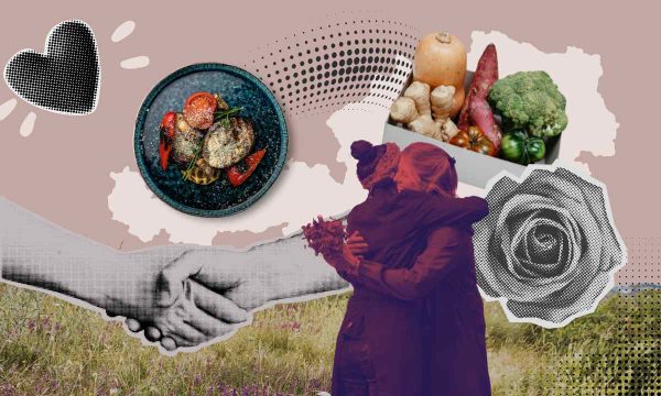 Gaumen Hoch Perfect Matches