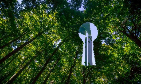 Wirtschaftsminister verschläft Anti-Greenwashing-Gesetz