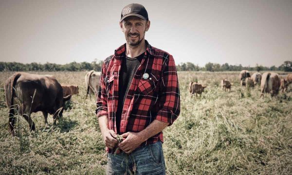 Georg Prantl King Beef