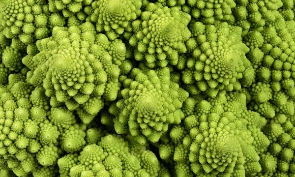 Romanesco